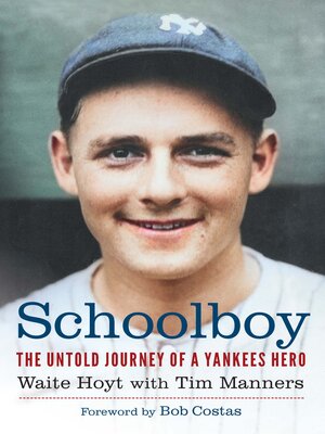 cover image of Schoolboy